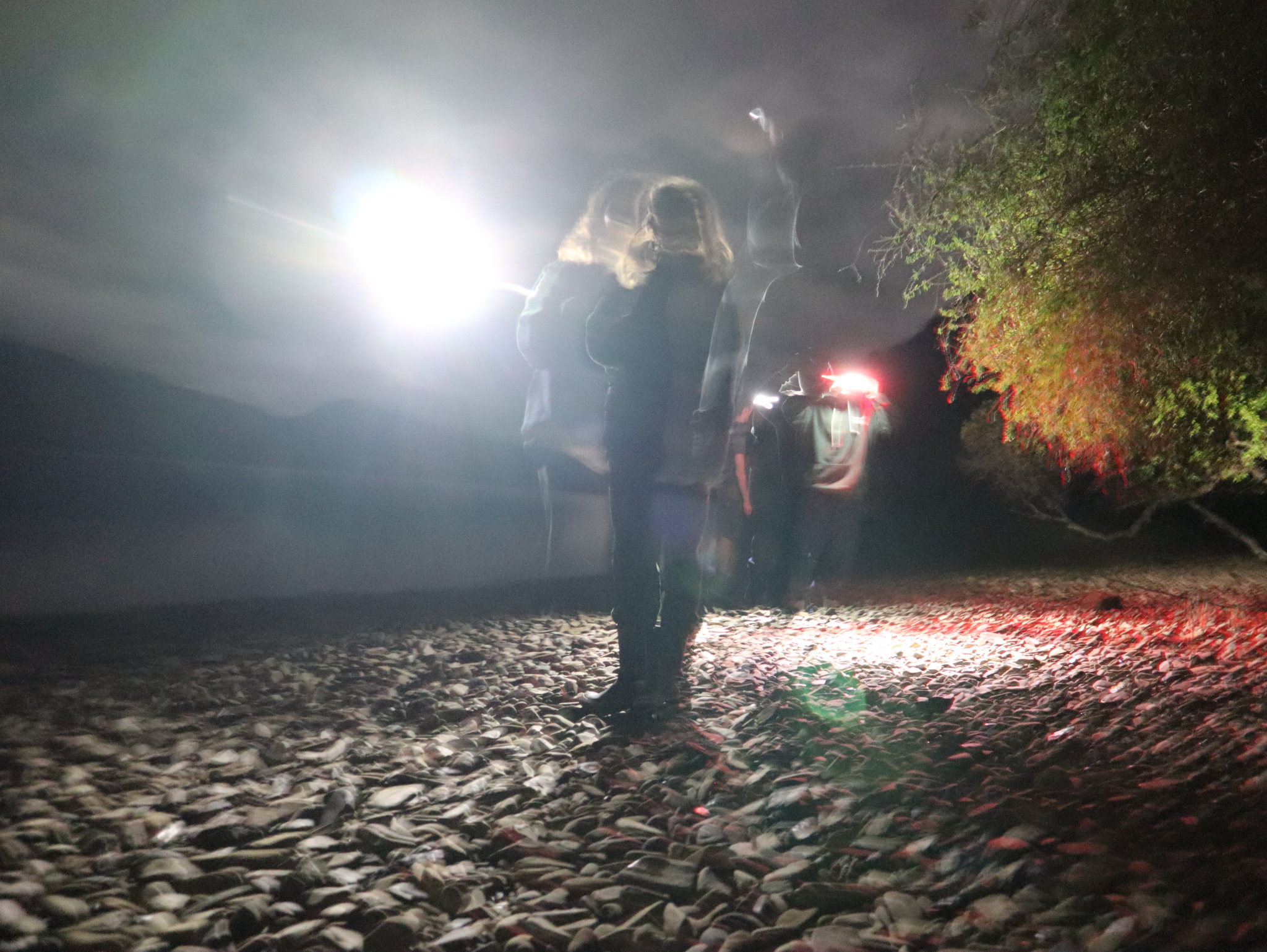 A long exposure of some people on the beach one night